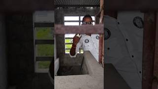 No Title -No TAG Jst❤️‍🔥SWAG❤️‍🔥