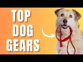 Top Dog Gears You Can Find On Amazon