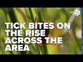 Emergency room visits for tick bites on the rise across area