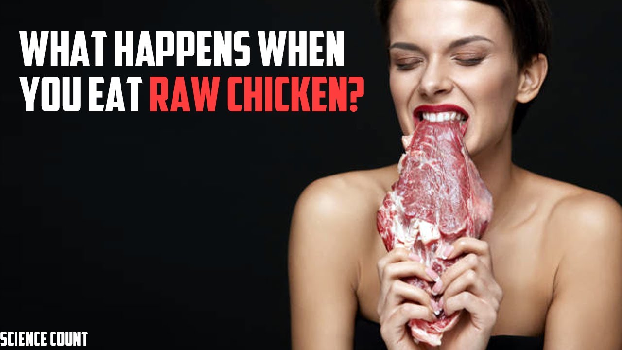 what-happens-when-you-eat-raw-chicken-youtube