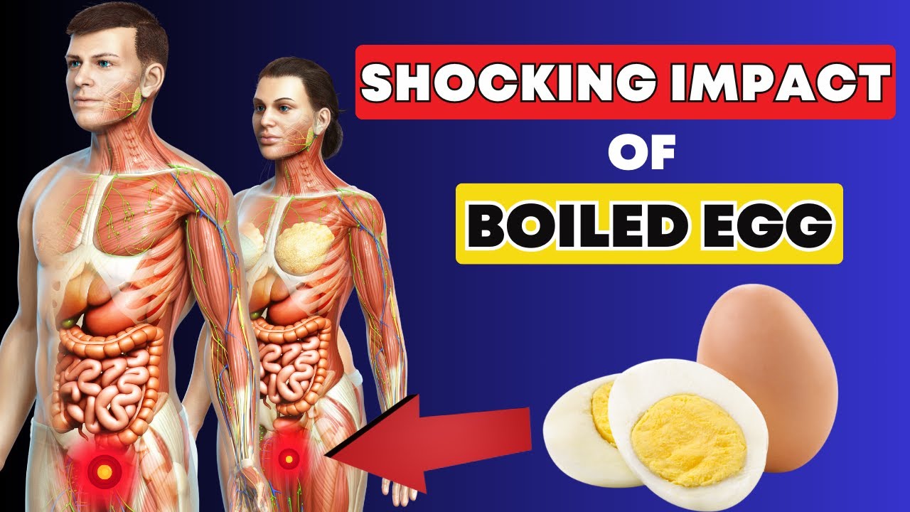 benefits of eating 2 eggs daily here what happens to body YouTube