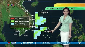 Dự báo thời tiết biển ngày 16/4/2023 | Ngư trường khai thác cá ngừ | VTVWDB