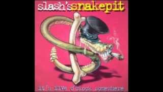 Slash's Snakepit - Back And Forth Again chords