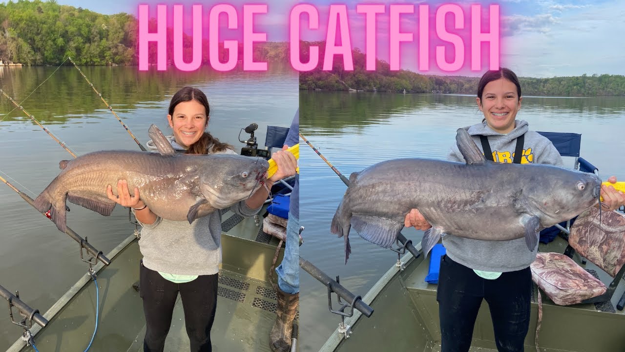 CATCHING MASSIVE CATFISH!! - YouTube