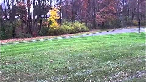 Minelab Etrac - Another great silver day :)