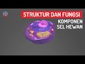 Struktur dan Fungsi Komponen Sel hewan (Sel Eukariot)