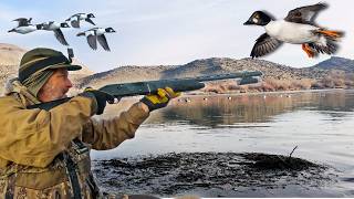 LATE SEASON BIG RIVER REMOTE GOLDENEYE HUNT