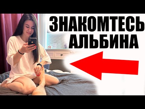 Новая ДЕВУШКА Яструба Или Короткая ВСПЫШКА?