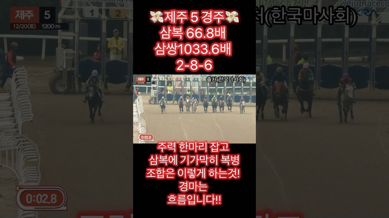 경마는 흐름이죠~삼복 66배~~ #techno #remix #dance #house #rave #경마방송 #아이브 #경마예상 #좋아요