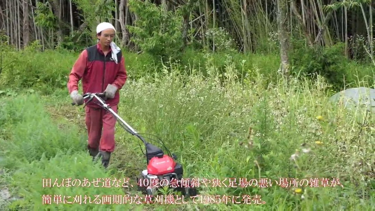 自走 2面畦草刈 ホンダ UM660 刈丸パンチ ロータリモア 使ってみました