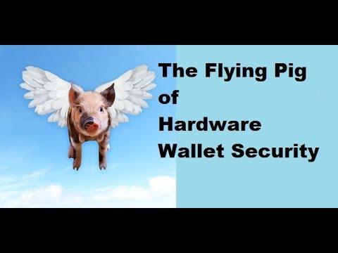 Hardware Wallet Security