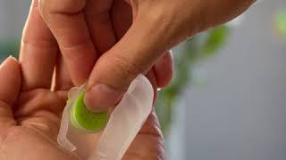 Drtungs Toothbrush Protection - How To Change The Anti-Bacterial Disc