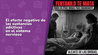 The Negative Effect of Addictive Substances... • SYPC • 1st Grade | Academic Video