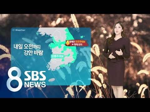 [날씨] 바람에 밀려간 미세먼지…밤사이 기온 '뚝' / SBS