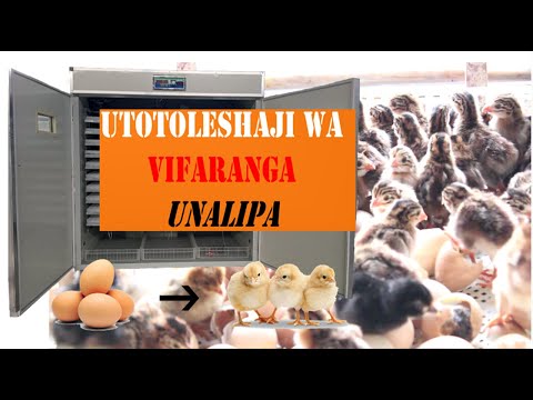 Video: Jinsi ya kutengeneza mashine ya kuona ya kabine?