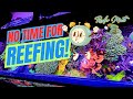 No time for reef tanks how i get by