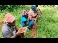 Mama Wanje Official Audio New Luhya Song Mama Wanje Official Audio New Luhya Song