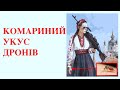 БУТИ ГІДНИМИ АРМІЇ І РОДИЧАТИСЯ - НАШ РЕЦЕПТ ПЕРЕМОГИ. Лекція історика Олександра Палія