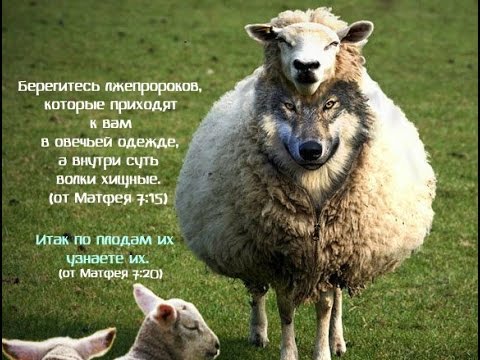 проповеди пол вошер слушать онлайн проповеди пол вошер слушать онлайн