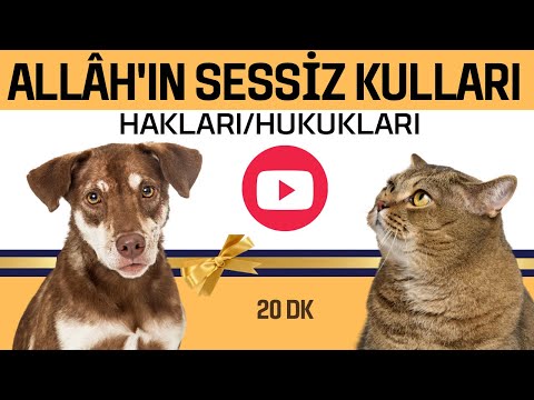 İSLAMDA HAYVAN SEVGİSİ | İBRETLİK KISSALAR