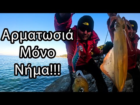 🎣 Eging Χωρίς