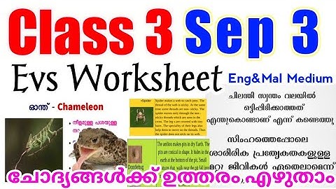 Class 3 Victers Evs Sep 3 Worksheet/victers class 3 evs worksheet/victers channel std3 worksheet