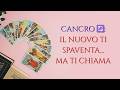 CANCRO♋HAI GIÀ TUTTO DENTRO DI TE… ORA SERVE IL CORAGGIO! 🔥