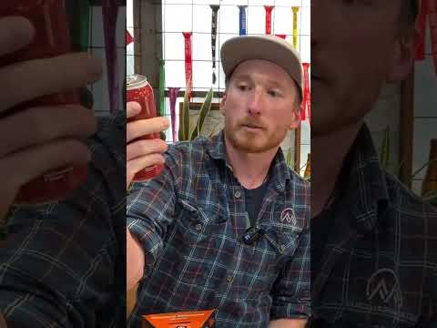 Beer O'clock Review: