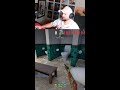 Meccha Chameleon THE ART HIDE N SEEK GAME