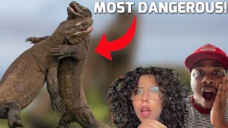 10 Most DANGEROUS Animals in The USA! Reaction
