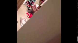 Girl Beating Up Elmo Toy Vine