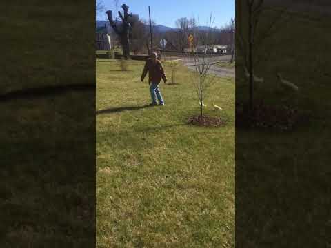 IMG 27081