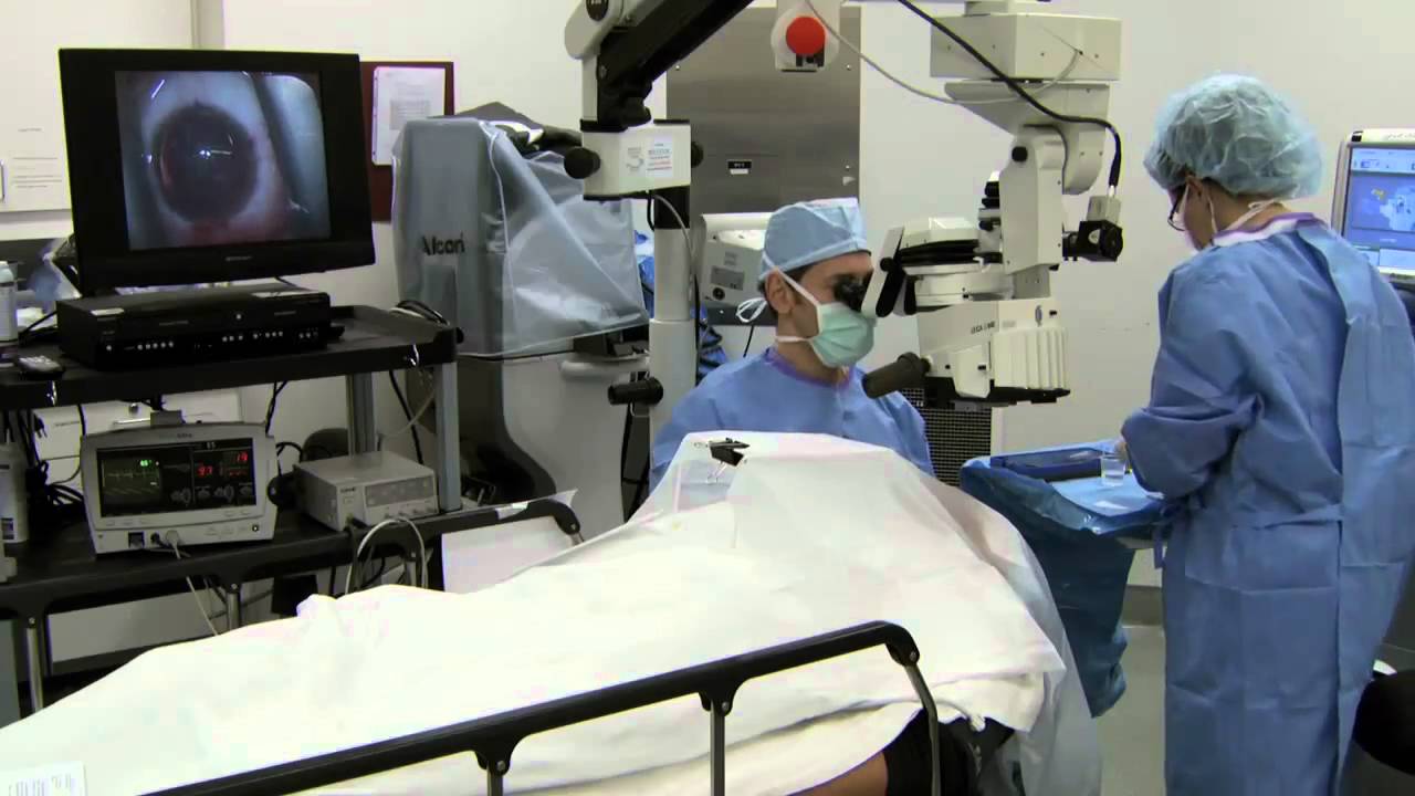 Barrel Boy Surgery and Post Op at Dulaney Perkins YouTube