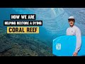 Helping Restore Bali's Coral Reefs – Bodyboard Holidays