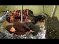 EXTREME Winter SNOW STORM -45F Blizzard in a Hot Tent | Extreme Off Grid Winter Life