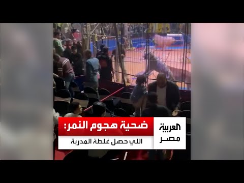 ضحية هجوم النمر الحيوانات ماكلتش من يوم 10 رمضان واللي حصل غلطة المدربة أنوسة كوتة