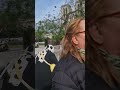 Visite de Notre-Dame de Paris- French region