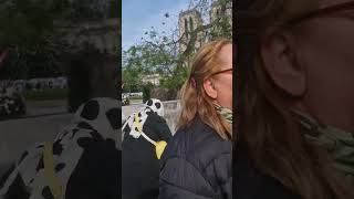 Visite de Notre-Dame de Paris- French region