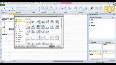 Pivot Table in Excel 2010 Part5.mp4