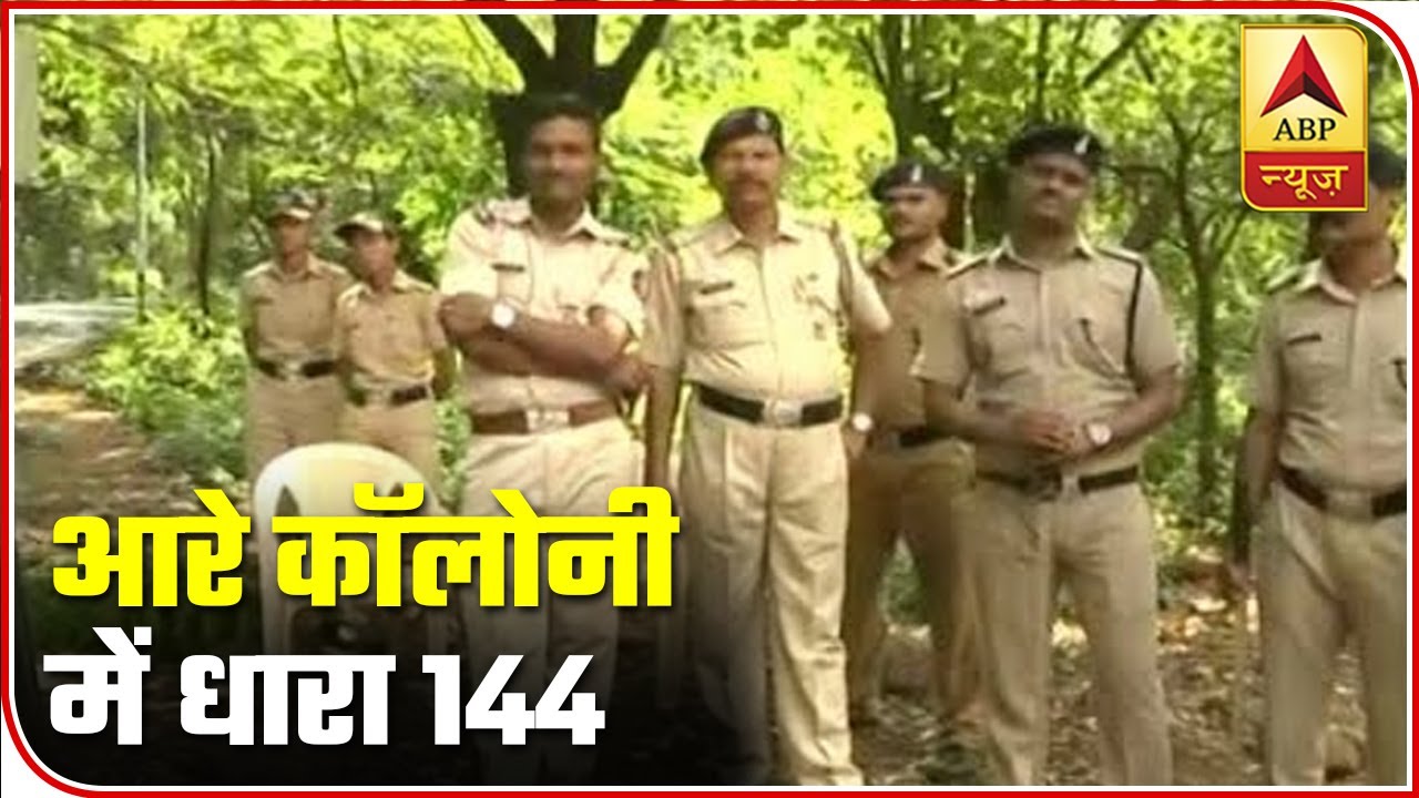 Prohibition Orders As Row Erupts Over Tree-Cutting In Mumbai | ABP News