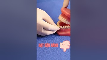 ĐỒ ĂN NÀO AN TOÀN CHO RĂNG NIỀNG: hạt Đậu Nành #drcuong #nhakhoa #niengrang