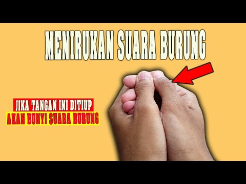 Video: Cara Memasang Latar Belakang Akuarium