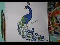 easy drawing ideaColour Pencil Drawing Peacock- Drawing easy drawing ideaColour Pencil Drawing Peacock- Drawing