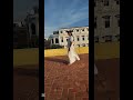Miniblog, tomando foticos del vestido blanco | Vestido blanco | Diseño.