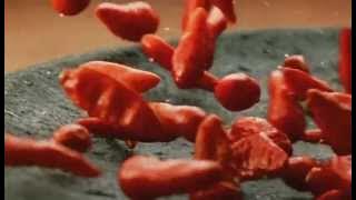 TVC Sambal Indofood - UhAhEhm 1