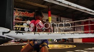 Muay Thai Boxing Fighting Boys Children. Stock Footage