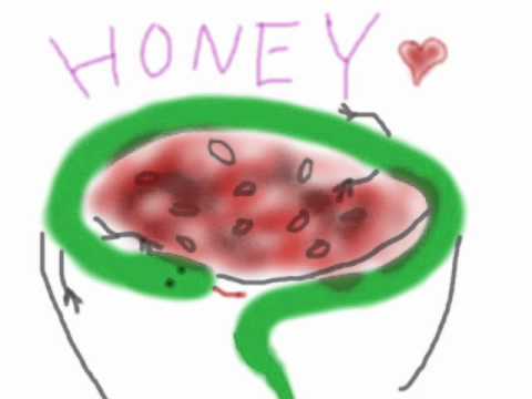 HONEY in nico紅白【蛇足×赤飯】