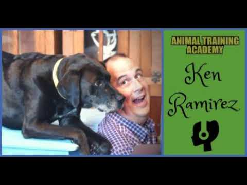 camera iphone 8 plus apk Ken Ramirez - Training animals for conservation; Chimpanzees, Elephants, Polar bears & more!
