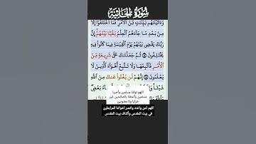 سورة الجاثية الاية 17-18 فارس عباد