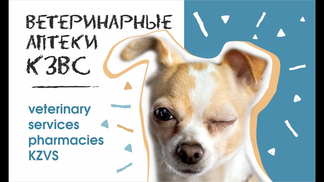 Аптека Кзвс Краснодар Аптека Кзвс Краснодар